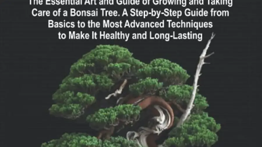 How Often Should You Water Bonsai