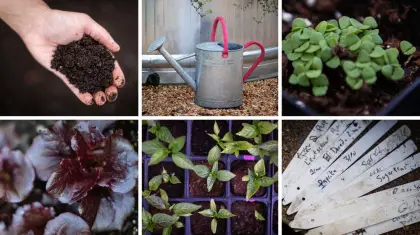 How to Start a Garden: 10 Easy Steps for Beginners