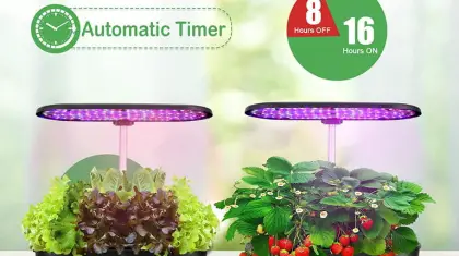 Indoor Gardening Fruits And Vegetables