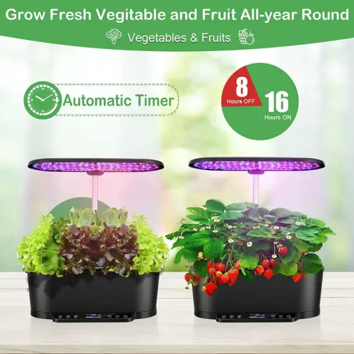 Indoor Gardening Fruits And Vegetables