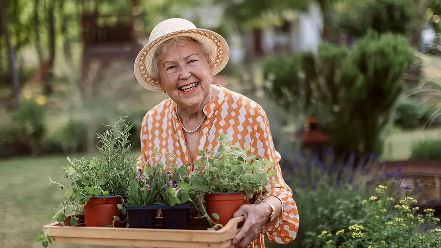 What are the Advantages of Gardening