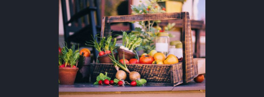 Balcony Gardening Vegetables