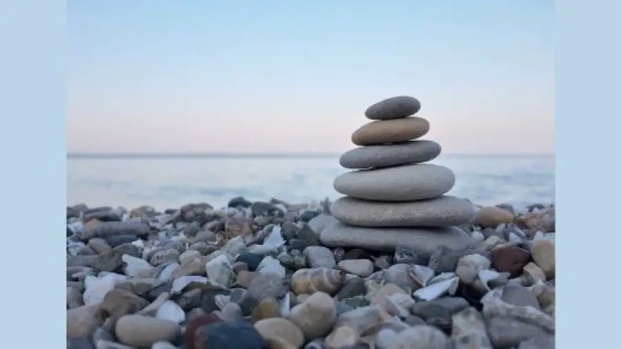 Bonsai-Rock
