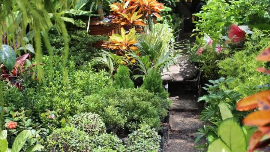 Eco-Gardens