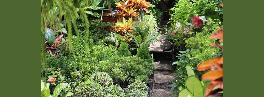 Eco-Gardens