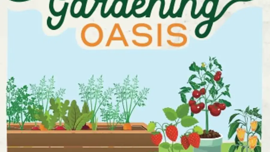 Balcony Gardening for Beginners