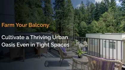 Balcony Gardening Tips