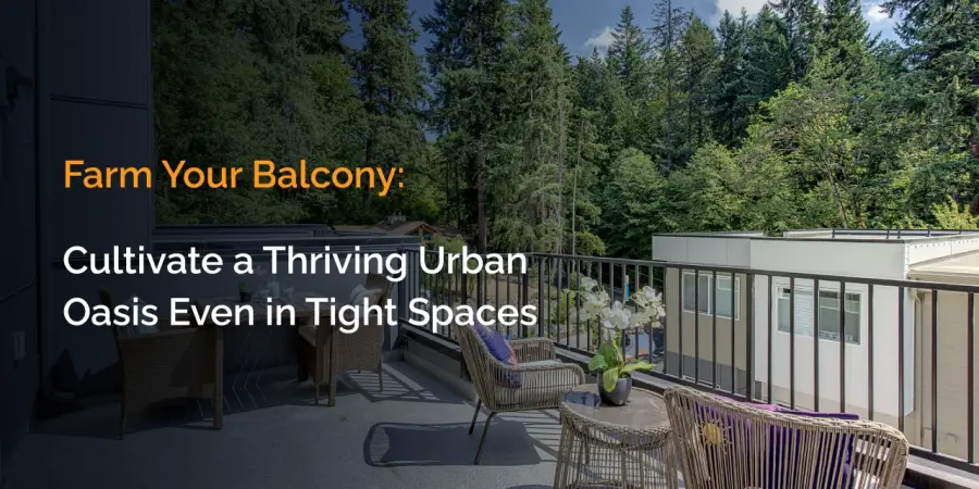 Balcony Gardening Tips