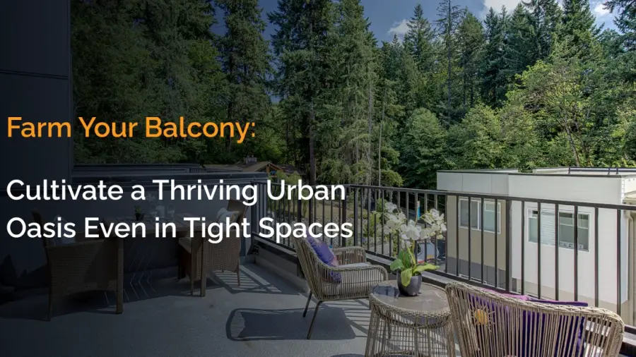 Balcony Gardening Tips