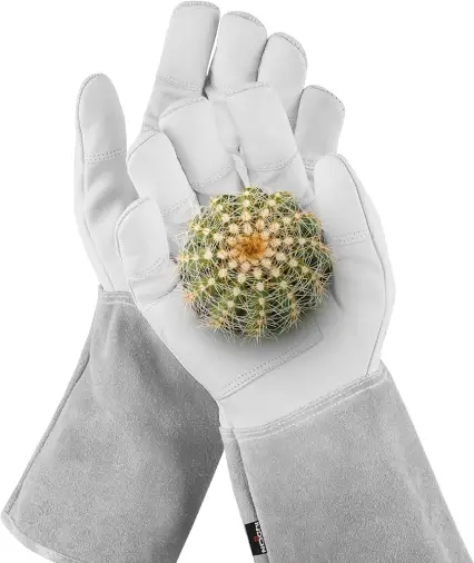 Best Gardening Gloves for Handling Cactus