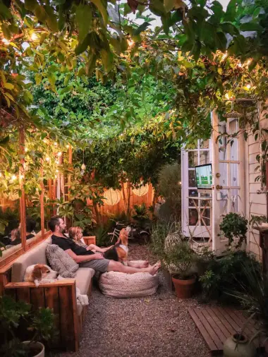 Best Plants for Cooling Your Yard
