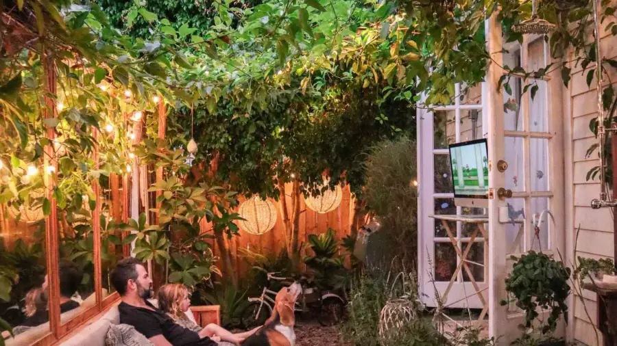 Best Plants for Cooling Your Yard