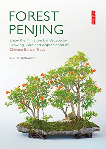 Bonsai on Rock