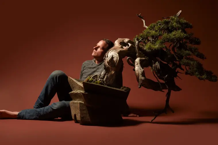 Bonsai Tree Styling Techniques