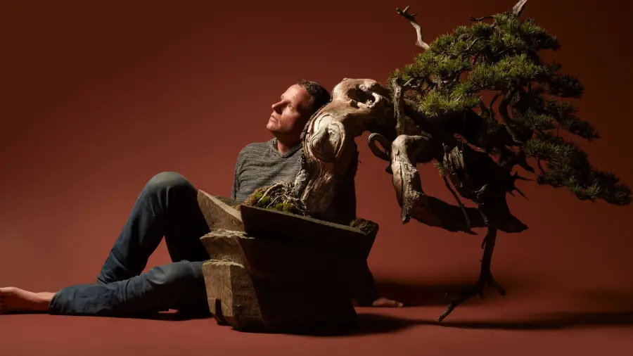 Bonsai Tree Styling Techniques