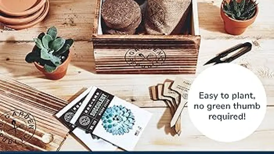 Cactus Gardening Tools