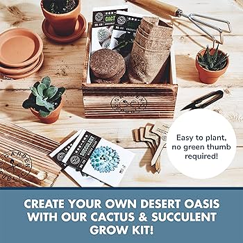 Cactus Gardening Tools