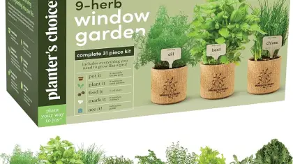 Indoor Gardening Ideas