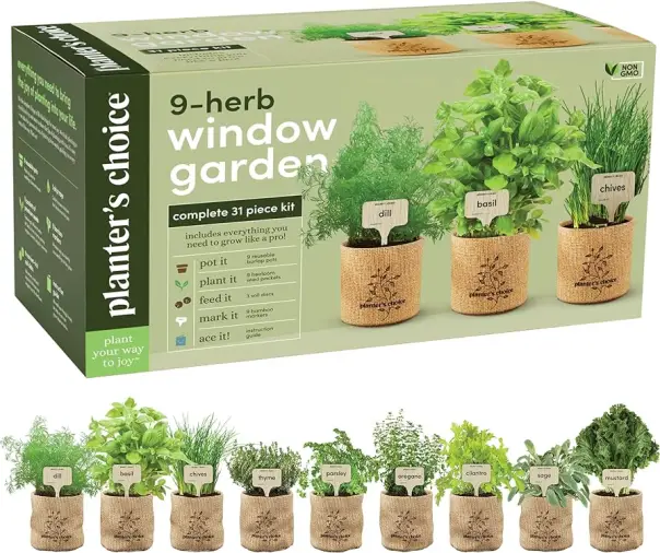 Indoor Gardening Ideas
