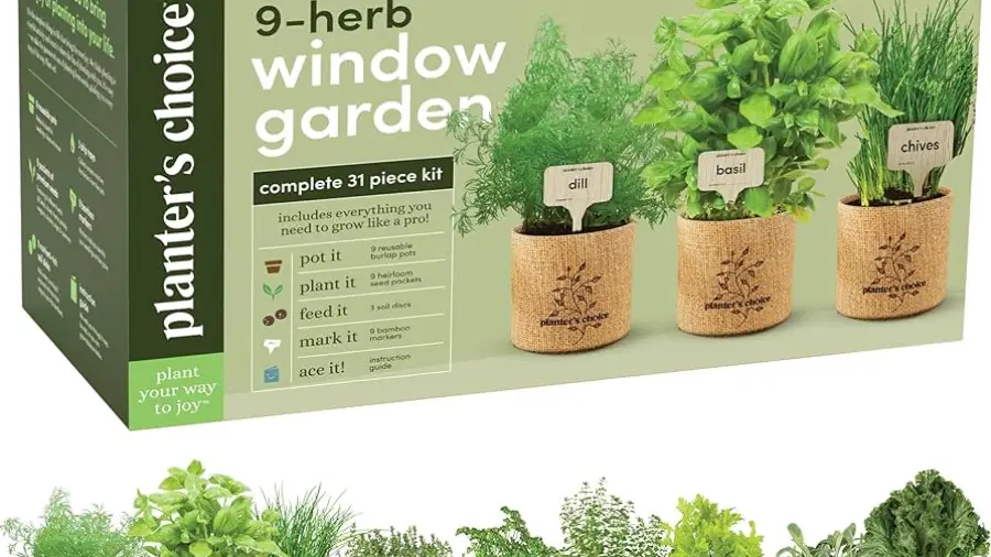 Indoor Gardening Ideas