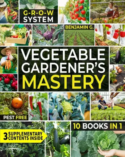 Organic Gardening Techniques