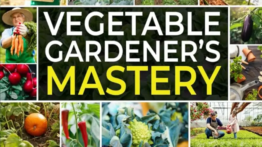 Organic Gardening Techniques