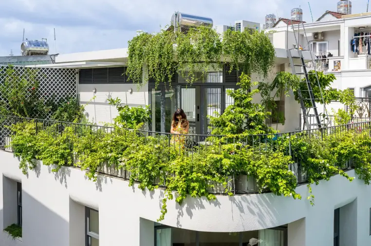Rooftop Garden Cooling Techniques