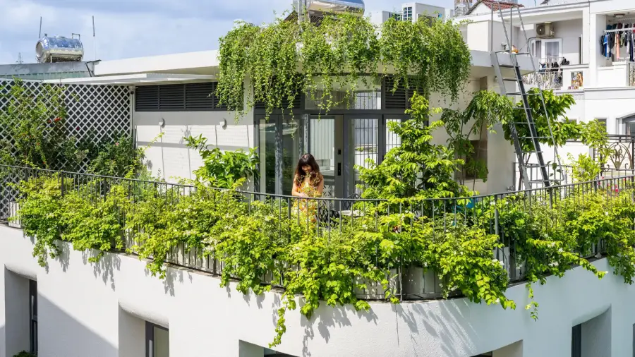 Rooftop Garden Cooling Techniques