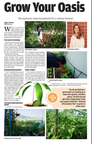 Rooftop Gardening for Beginners