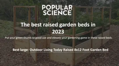Rooftop Gardening for Beginners