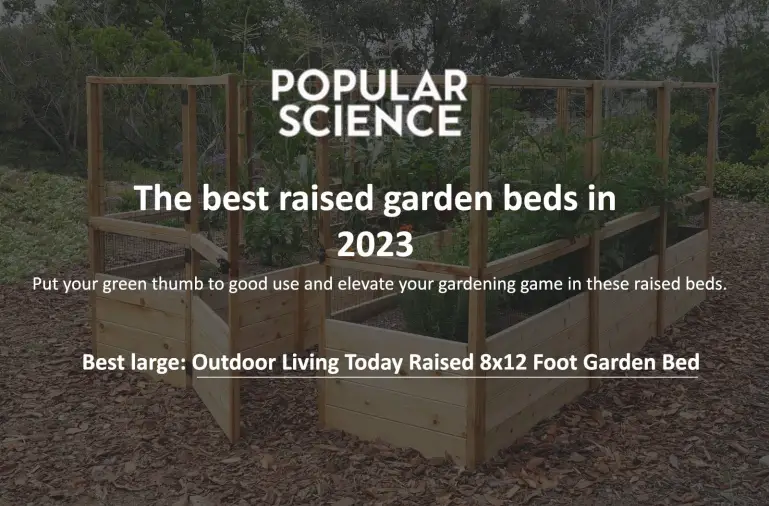 Rooftop Gardening for Beginners