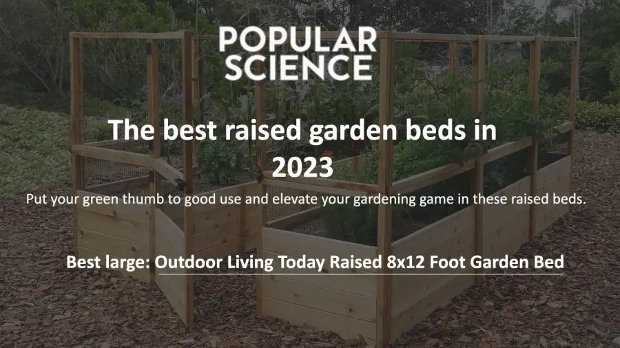 Rooftop Gardening for Beginners