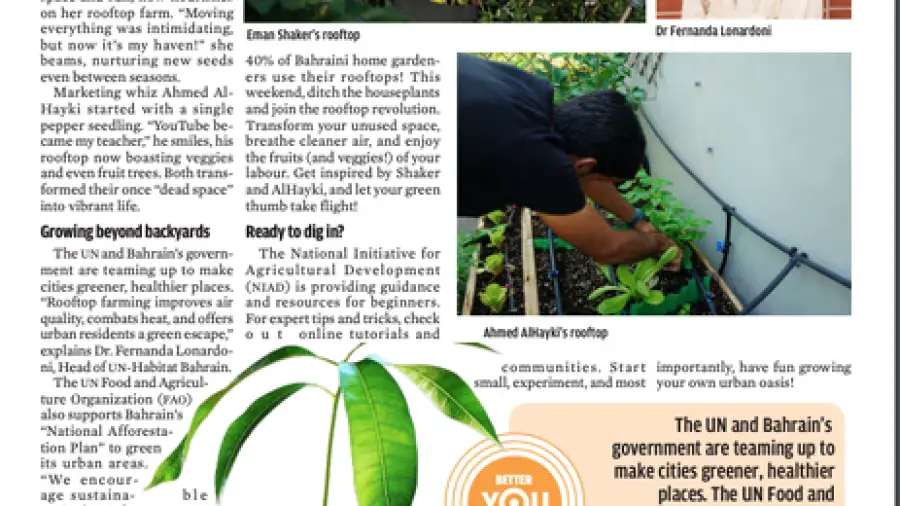 Rooftop Gardening for Beginners