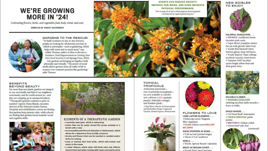 Seasonal Gardening Guides