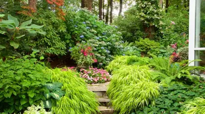 Shade Garden Ideas for Summer