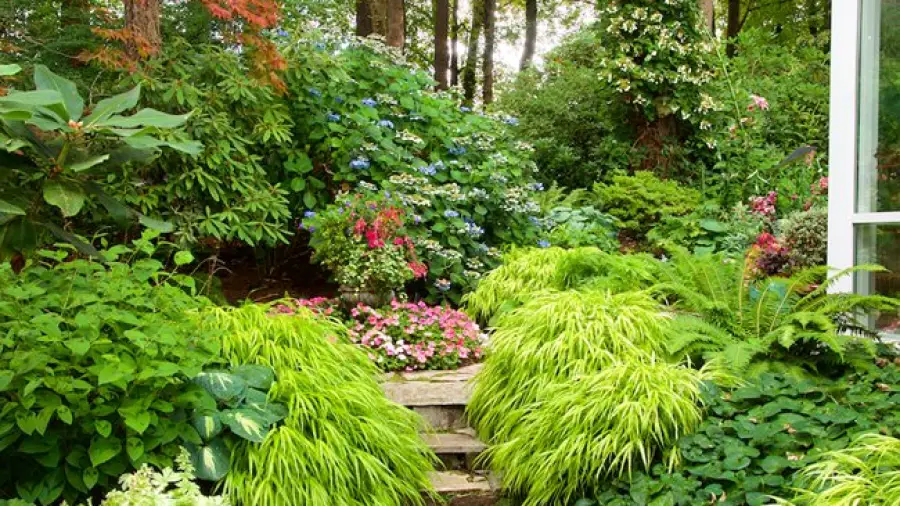 Shade Garden Ideas for Summer