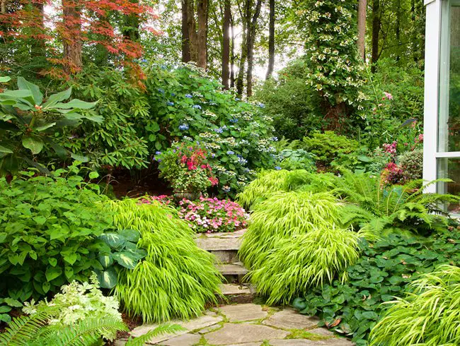 Shade Garden Ideas for Summer