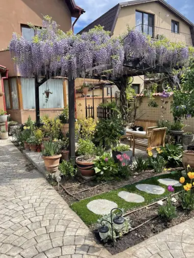 Summer Rooftop Gardening Tips