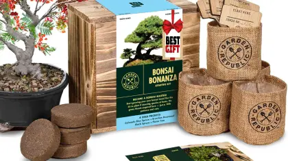 10 Essential Gardening Tools for Beginners: Start Your Green Thumb Journey