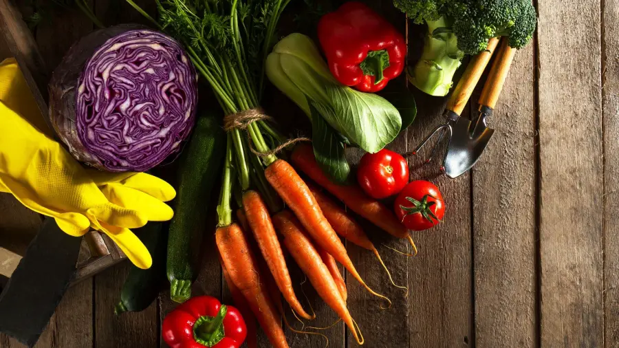 From Yard to Table