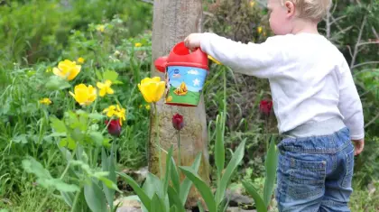 When is the Best Time to Water Garden in Hot Weather