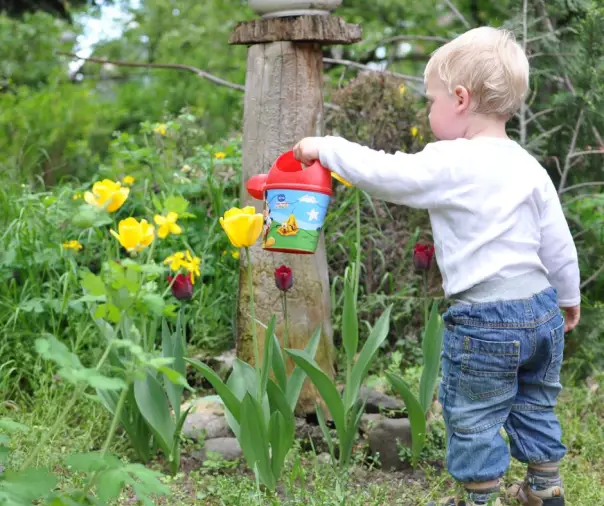 When is the Best Time to Water Garden in Hot Weather