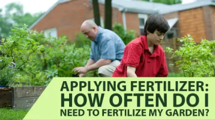 How Often Should You Fertilize Garden