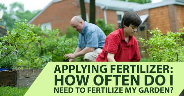 How Often Should You Fertilize Garden