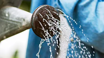 Should You Water Garden in Morning Or Evening