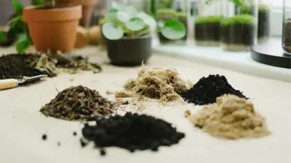 What is the difference between gardening soil and potting soil