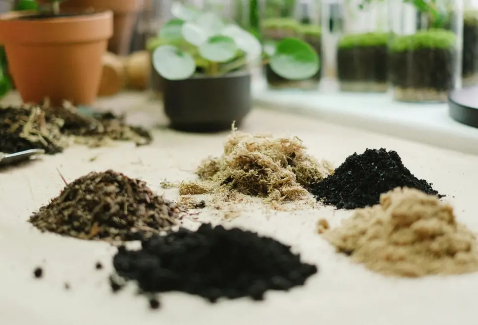 What is the difference between gardening soil and potting soil